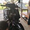 miulsgt