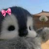 lluttt_cntkk