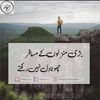salmanaliail449