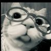 qilaaimuppff
