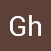 gh.hg431