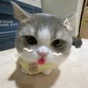 littlegirl_1202