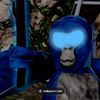 nightpro.vr1