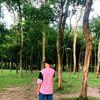 arapat.9x