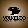 akbereditz97