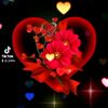 user87568263833223