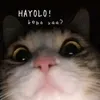myrablueball