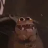 BIBBLE