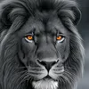 user14194980218376