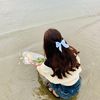 scc_aries0