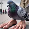 Abyss pigeon
