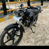 udin0035