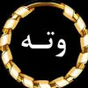 zizo_editor_iryuzo