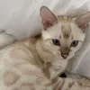 zoesalem6