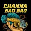 baota0