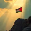 qimi_qimo