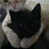 dumpaccnipix