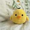 punn2625
