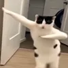 adxegaming