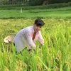 quang.dng6331