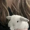 .bunny_741