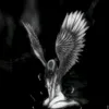 xsg_zx