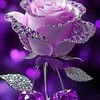 queenmother839