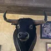 harryran01