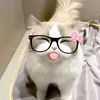 lotsy4f