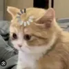 ..rikaaa0
