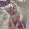 this_princess7
