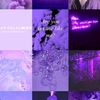 moonlightvlogs7