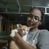 romchong_123b