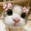 khin.mi.mi.zaw244