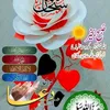 user2956159877668