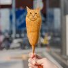 originalcorncat