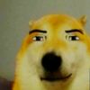 7rzurit6