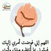 user4770219620474