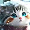 user77986306177085