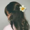 zena_5290