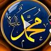 shukrihas