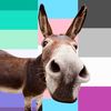 ifuckinglovemules