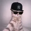 markjosephcarbone4