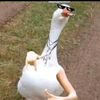 sexgam0