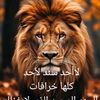 user4004395270909