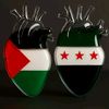 user8545455711961