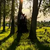 дачаСтarуХи