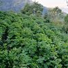 tuermosa91