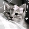 heba_flora