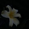stars4adis.ventacc_